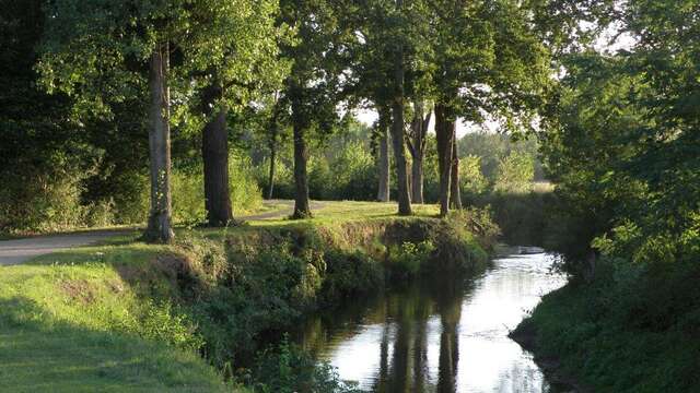 Les Châteaux et forêt de Chaille