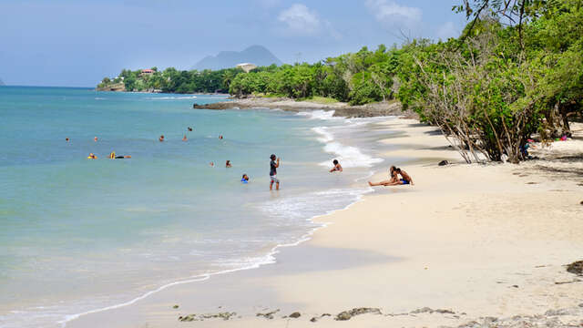 Plage de Fond Banane