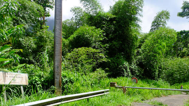 Fond Baron – Absalon