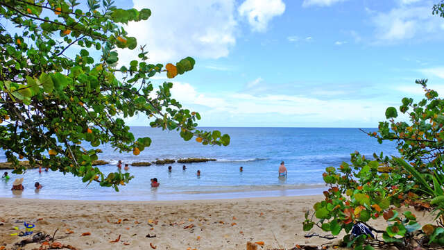 Plage de l'Anse Désert