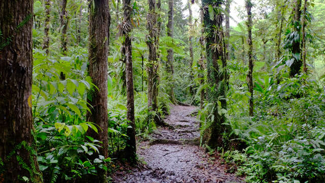 La boucle de Rabuchon