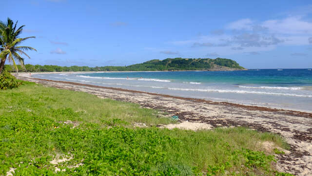 Plage de l'Anse Trabaud