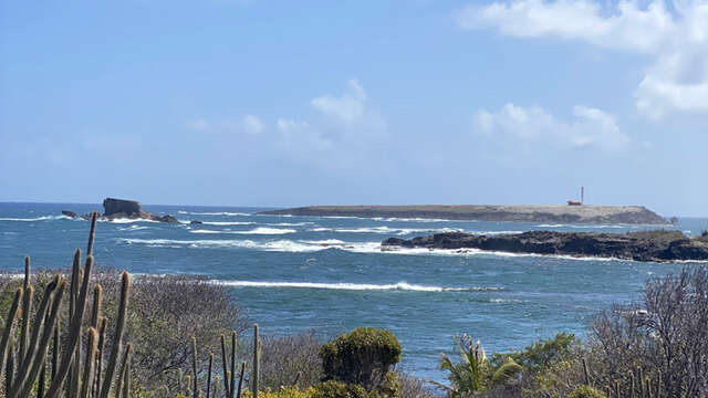 La Trace des Caps 4 : Anse Trabaud - Salines