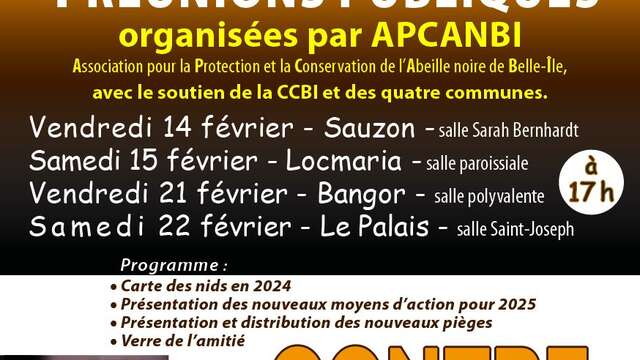 Réunion publique contre le frelon asiatique