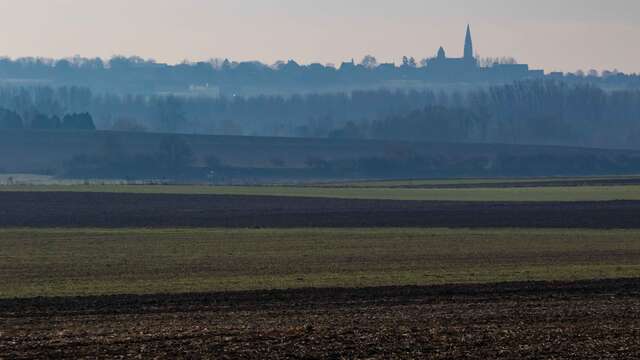 Le Chemin des Trous et des Bosses