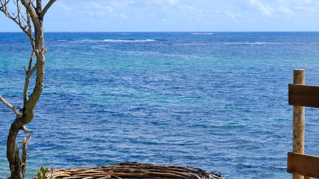 La Trace des Caps 3 : Cap Chevalier - Anse Trabaud