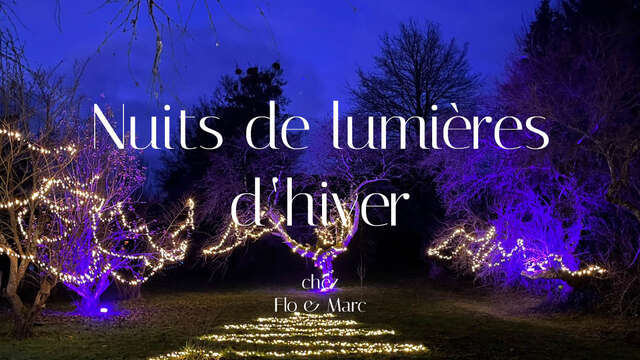 Nuits de lumières d'hiver