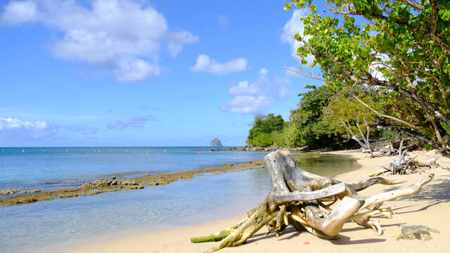 Plage de l'Anse Mabouya