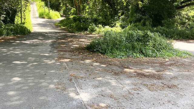 Toboggan naturel du Carbet