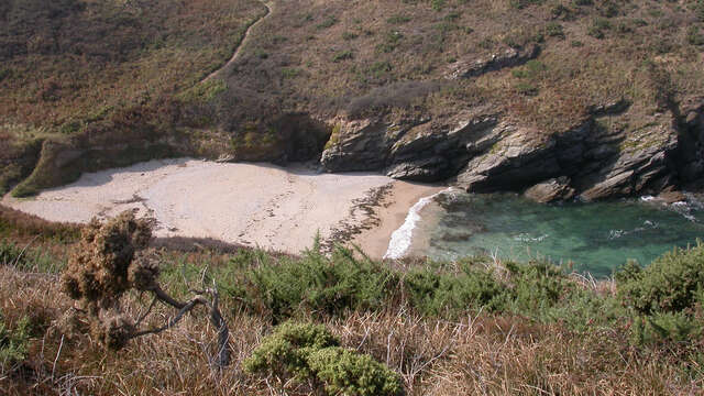 Plage de Port Collen