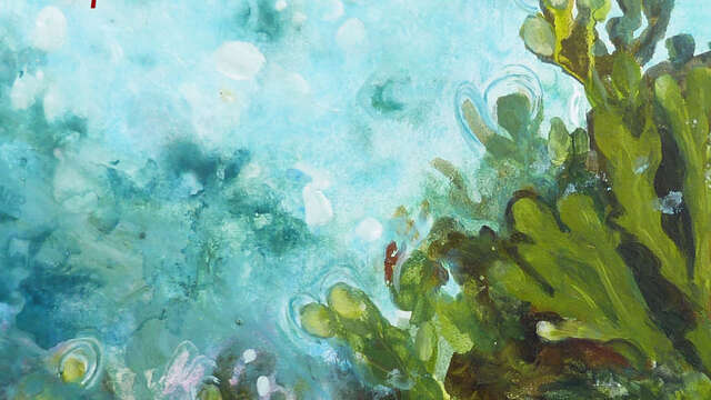 Exposition : Catherine Demorand