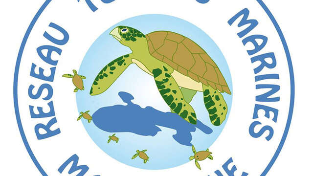 Réseau Tortues Marines Martinique