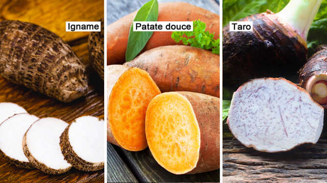 Igname / Patate douce / Taro