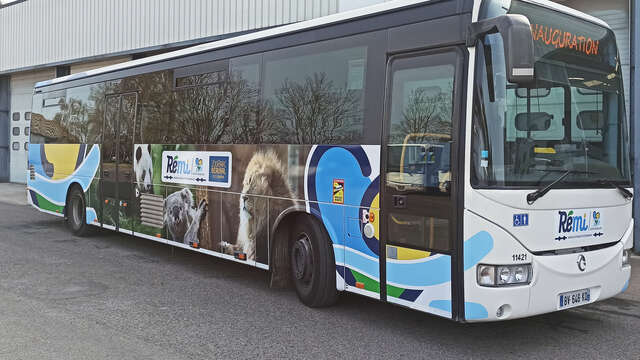 Navette Blois > ZooParc de Beauval