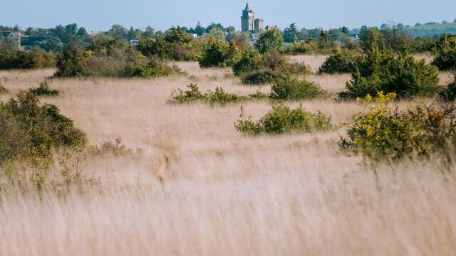 25- Le causse de Combelles
