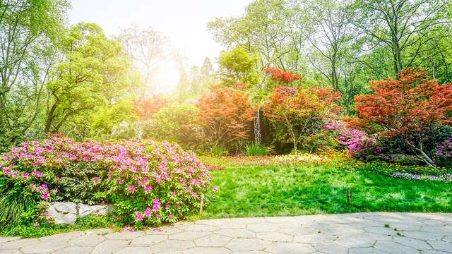 Botanischer Park des Priorats von Orchaise