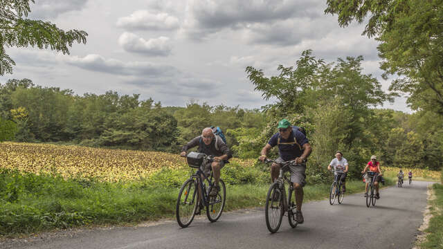 Boucle 21B - Entre moulins et lavoirs du Val de Cisse (Boucle Sud)