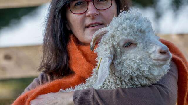 Le Mohair du Pays de Chambord