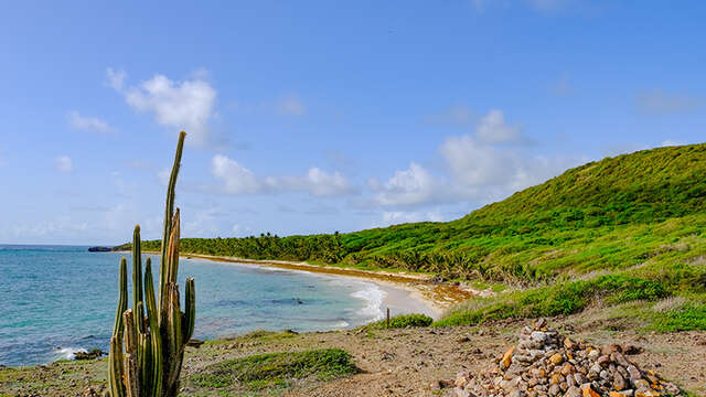 Plage de l'Anse Grosse Roche