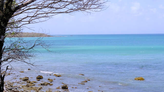 La Trace des Caps 5 : Salines - Anse Caritan