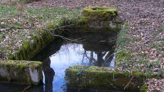 Rando Fontaines-en-Sologne - Chemin des Ogonnières