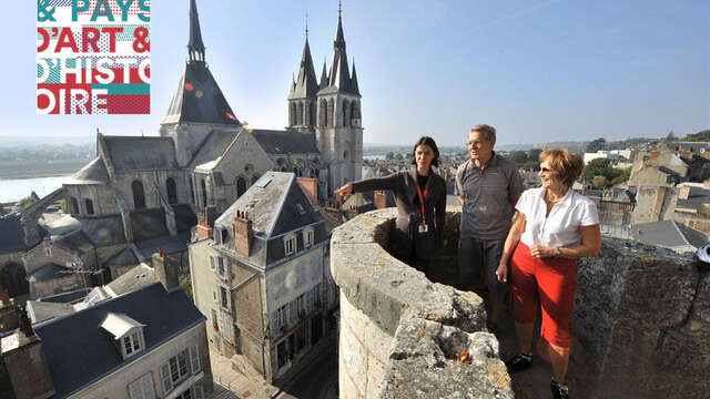 Les visites guidées de Blois - Ville d’Art et d’Histoire