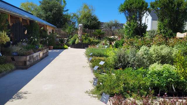 Pépinière & Paysages