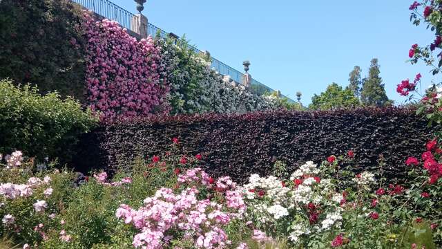 Les jardins de Blois