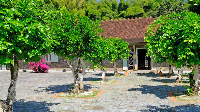 Musée de la Banane (Jardin)