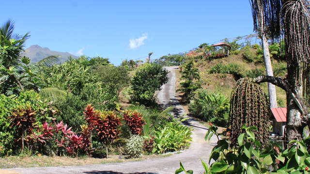 Beauvallon Plantation