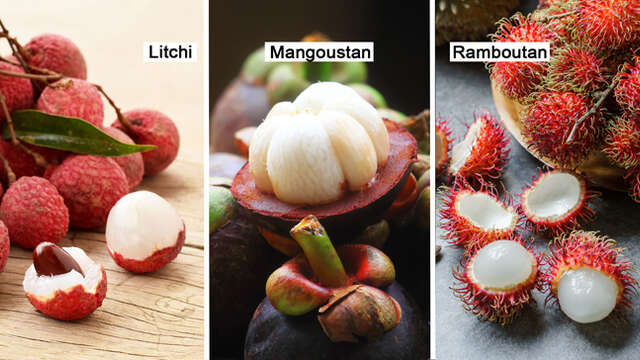 Litchi / Mangoustan / Ramboutan