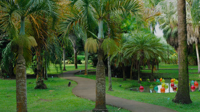Visite Botanique (Habitation Clément)