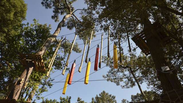 Parcours accrobranche