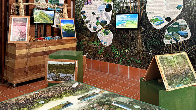 La Maison de la Mangrove