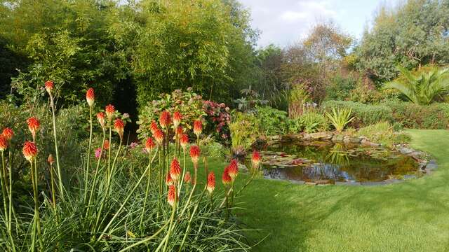 Jardin 