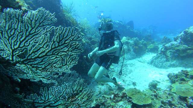 Nautitan (Club de Plongée)