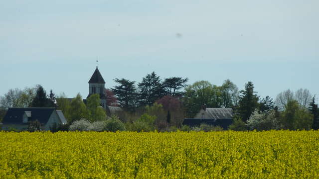 Rando : Grand circuit des eaux de Saint-Denis-sur-Loire