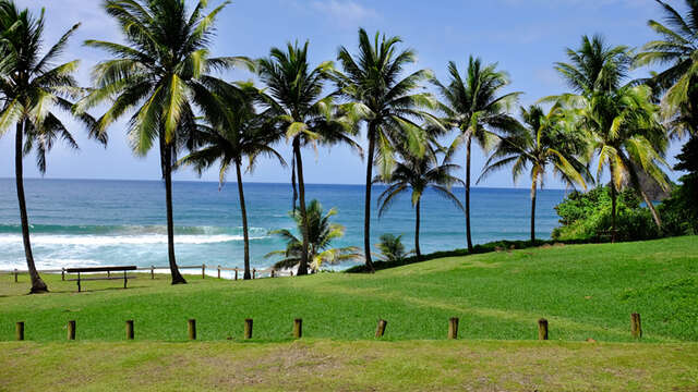 Plage de l'Anse Charpentier