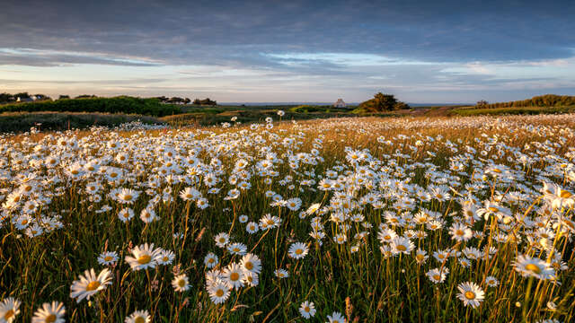 Pascal Lechaudel, photographe