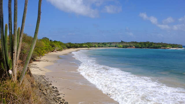 Plage des Petites Salines