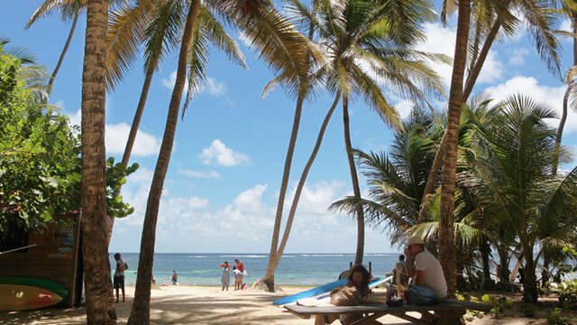Plage de Cap Chevalier - Anse Michel