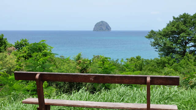 Point de vue (Diamant)