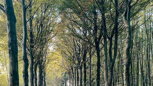 Promenade de petit-Modave