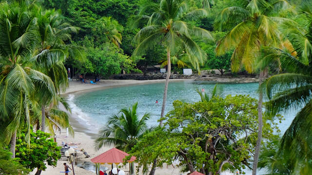 Plage de l'Anse Figuier