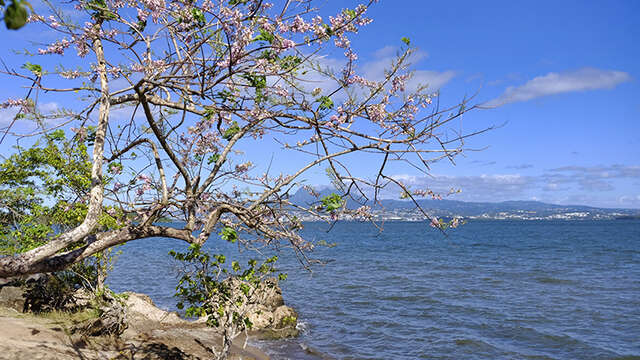 La boucle de la Forêt Vatable