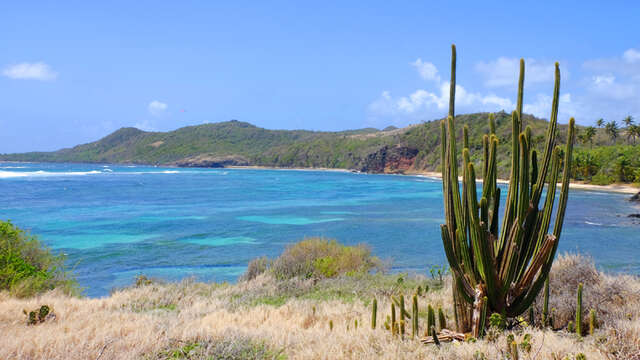 La Trace des Caps 2 : Cap Macré - Anse Michel