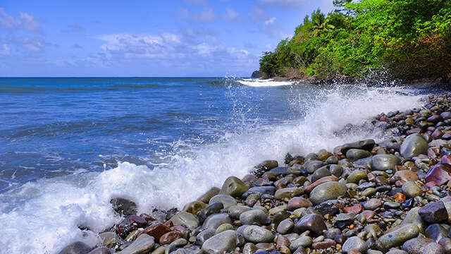 Plage de l'Anse Tamarinier