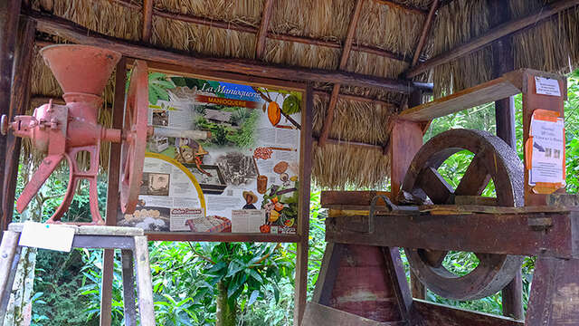 La Savane des Esclaves - Musée en plein air