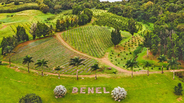 Royal Factory and Orchard - Tropical Fruit Juices and Jams