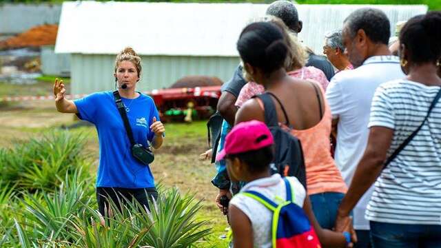 Visite des Vergers de l'usine Royal